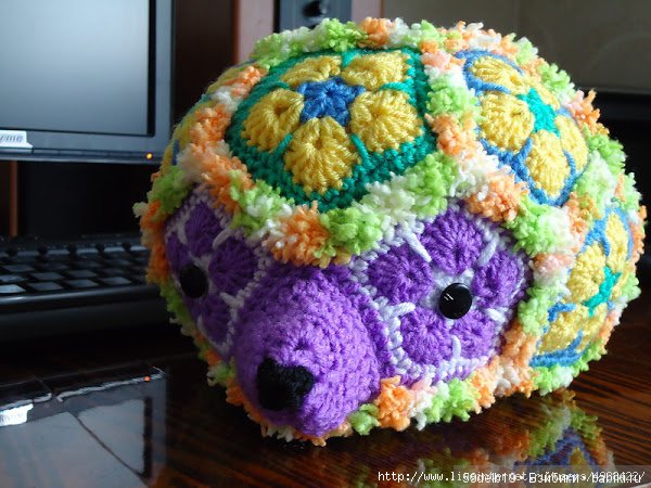 африканский цветок