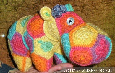 африканский цветок