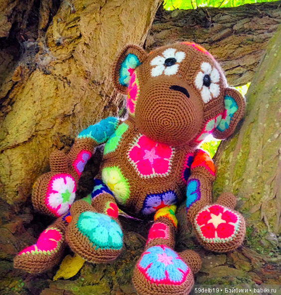 африканский цветок