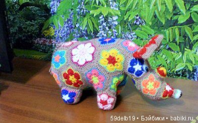 африканский цветок