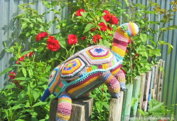 африканский цветок