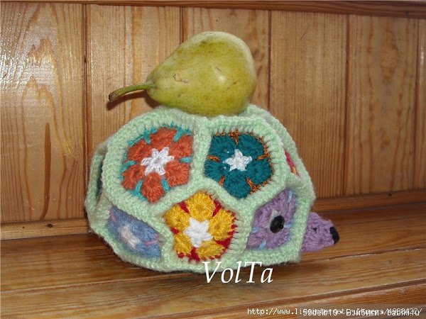 африканский цветок