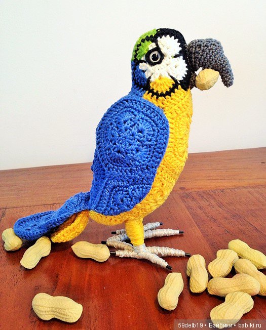 африканский цветок