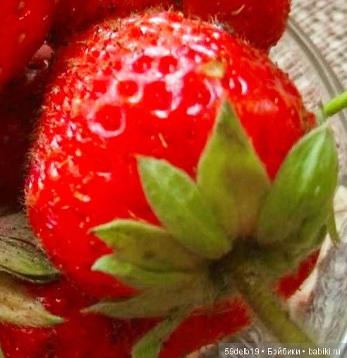 Клубника поспела - ароматом манит (фото 5)