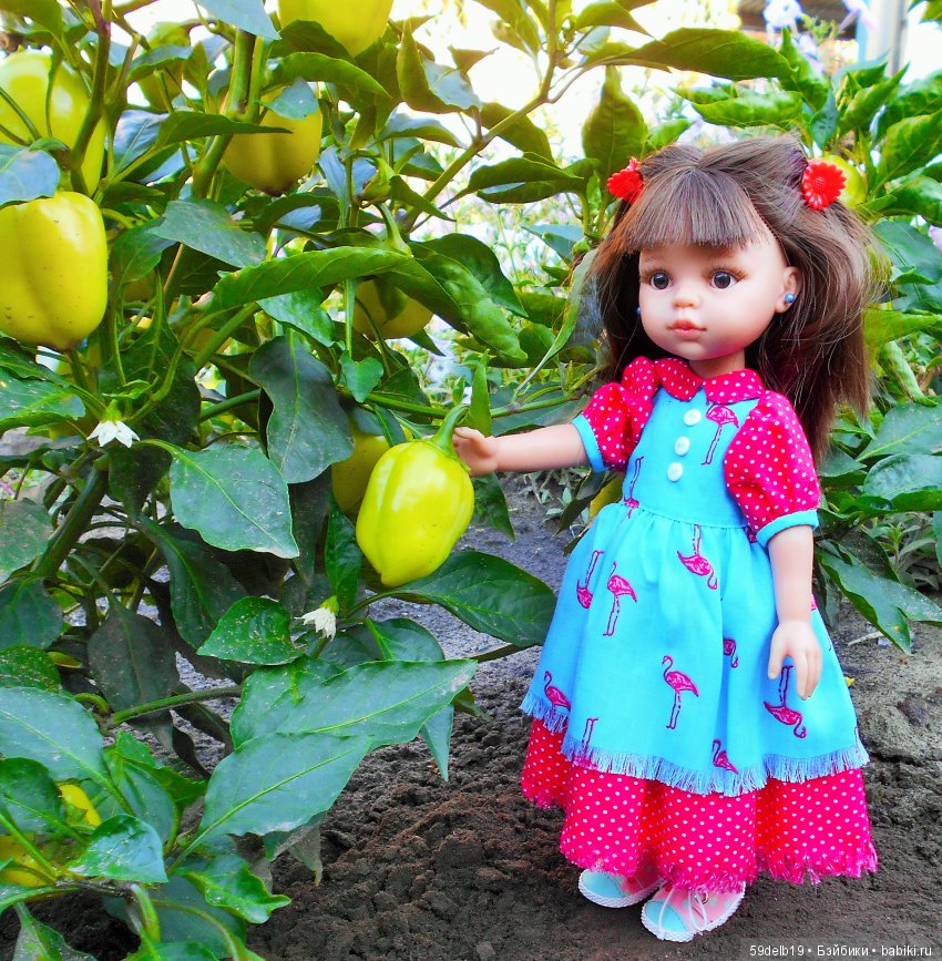 Перец болгарский - вкусный и сладкий (фото 4)