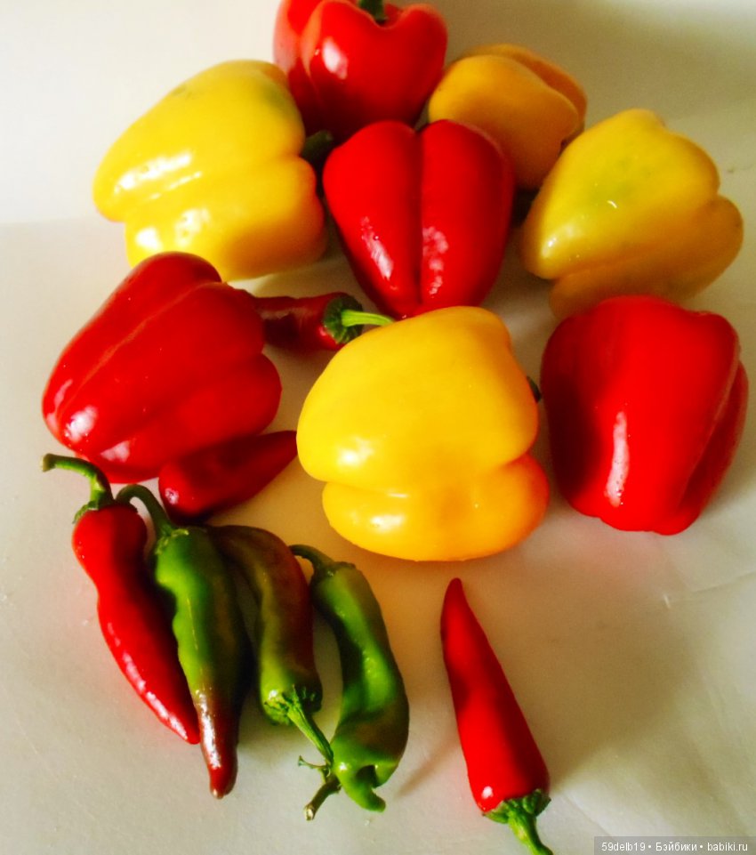 Перец болгарский - вкусный и сладкий (фото 9)