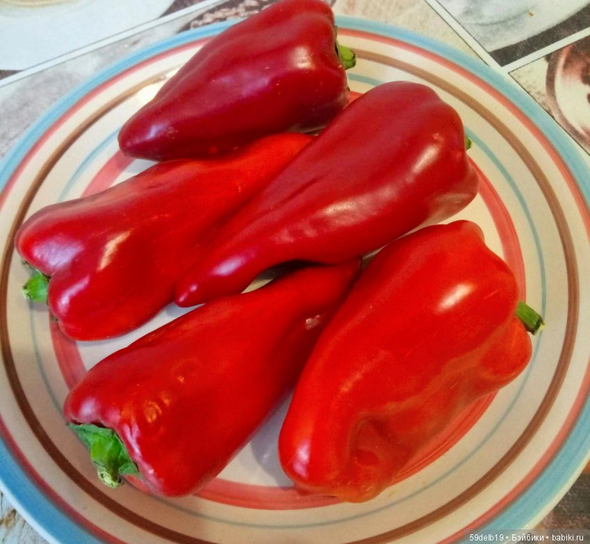 Перец болгарский - вкусный и сладкий