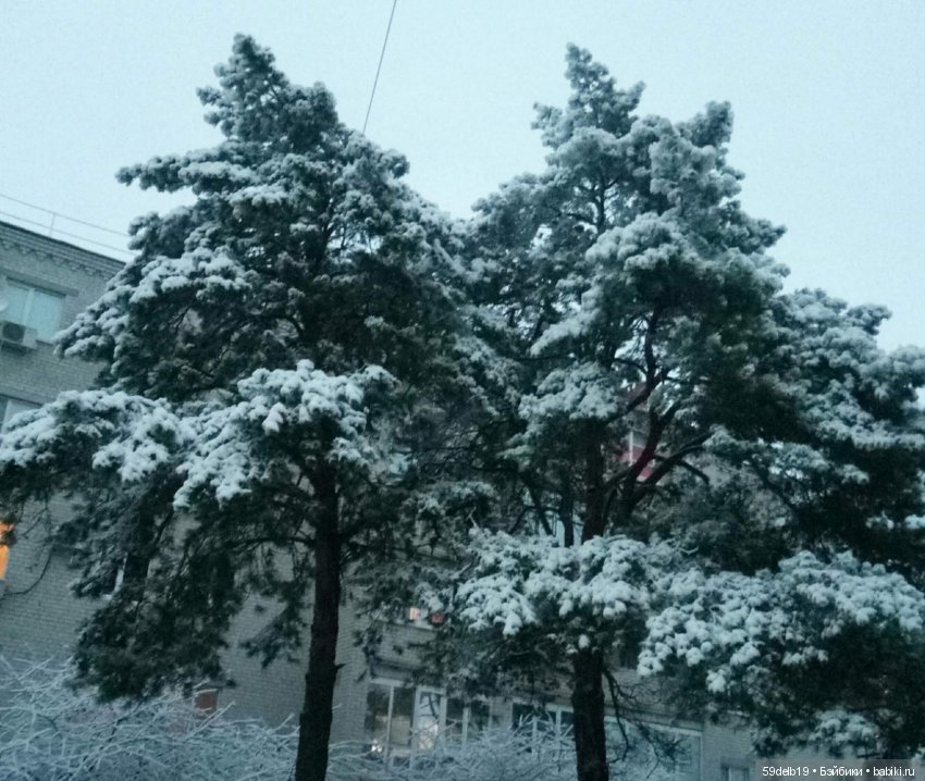 Одежда для кукол Паоло Рейна на заказ, ручная работа