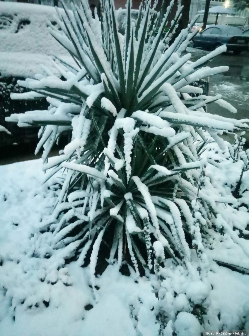 59delb19  GALINA  BURDINA, одежда для кукол