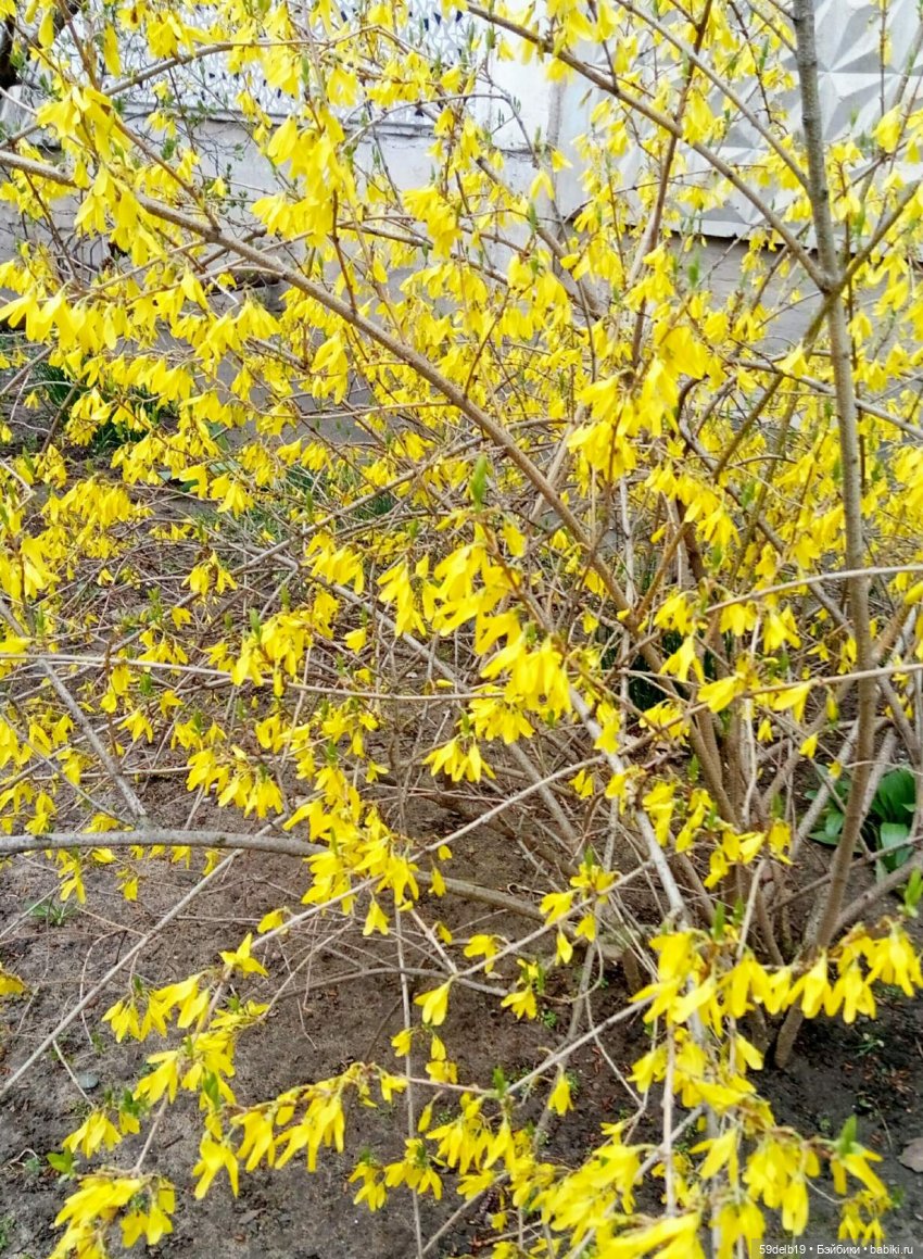 59delb19  GALINA  BURDINA, одежда для кукол