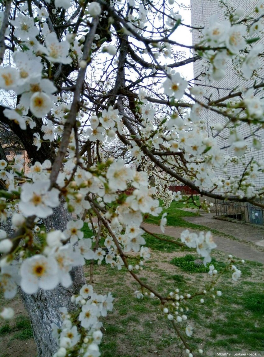 59delb19  GALINA  BURDINA, одежда для кукол