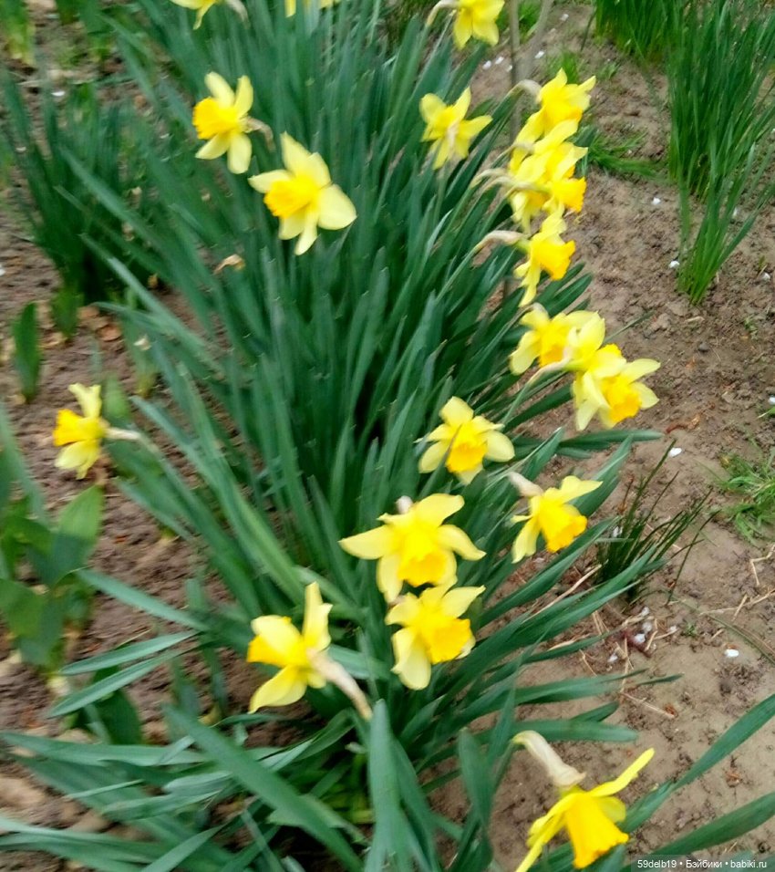 59delb19  GALINA  BURDINA, одежда для кукол