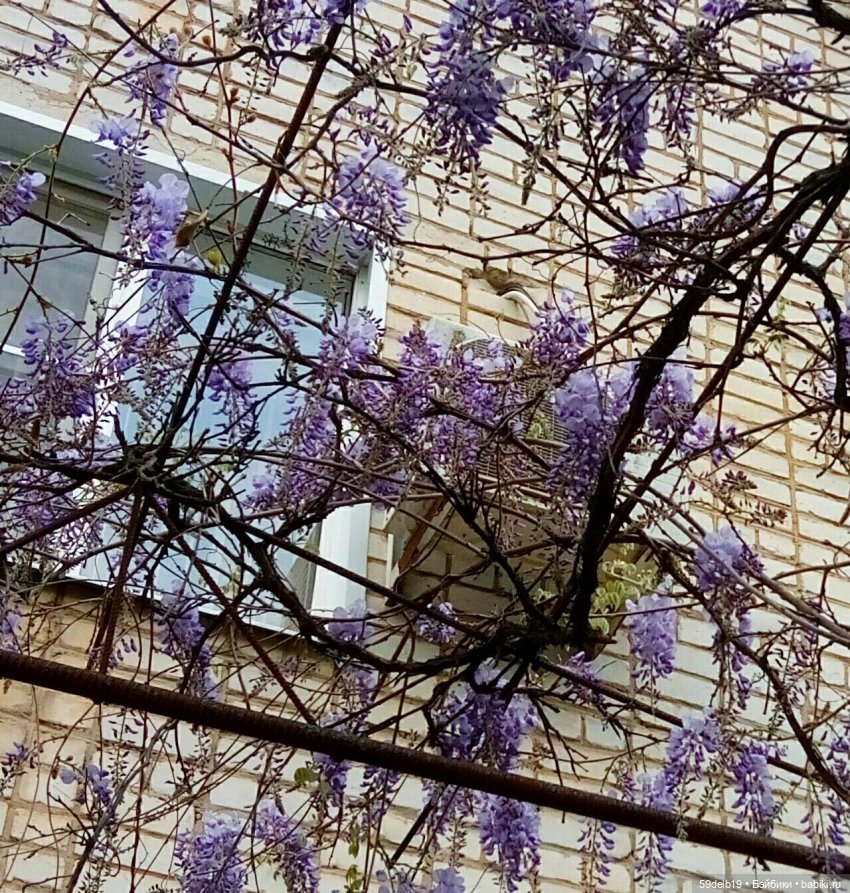 59delb19  GALINA  BURDINA, одежда для кукол