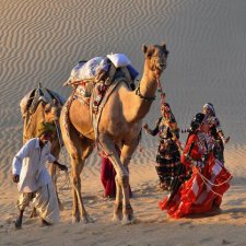 Ещё раз про любовь... к восточным паолочкам