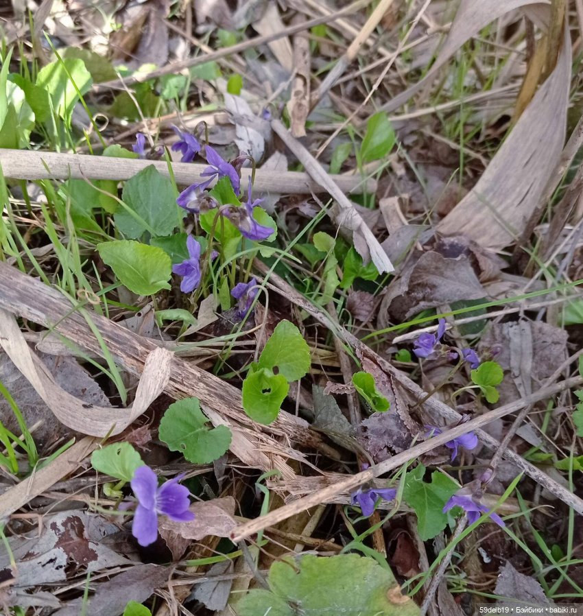 Одежда для кукол паола рейна в наличии и на заказ