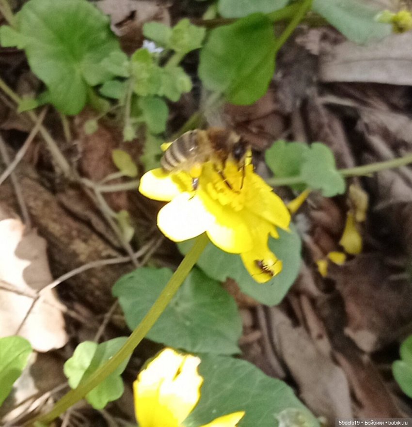 Одежда для кукол паола рейна в наличии и на заказ
