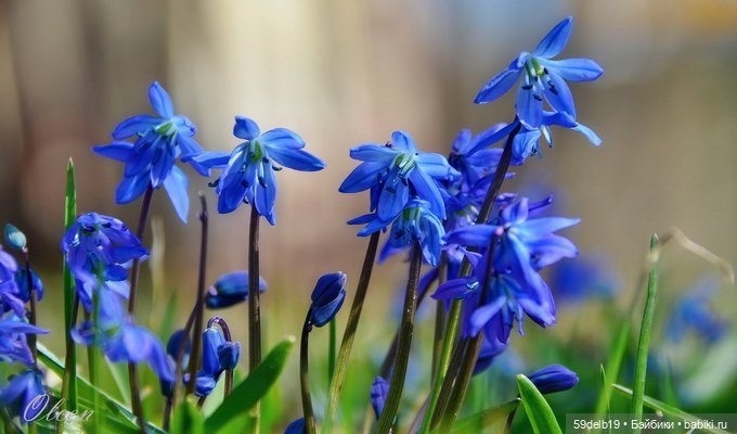 Одежда для кукол паола рейна в наличии и на заказ