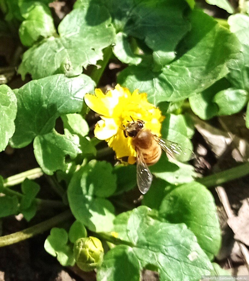 Одежда для кукол паола рейна в наличии и на заказ