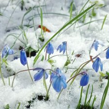 Зима вернулась в середине марта