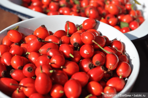 Паолочки с шиповником — Куклы Paola Reina (Паола Рейна): новинки (фото 3)