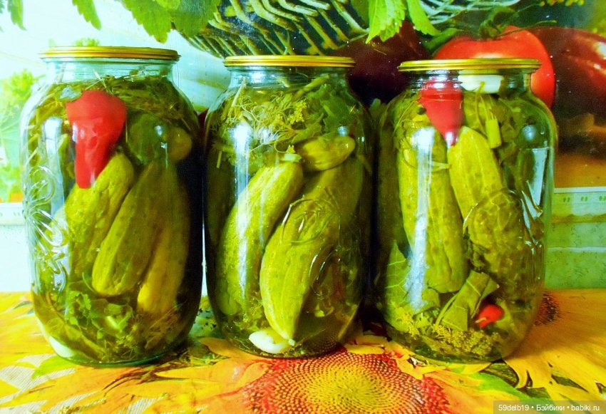 Вкусняшки от кукляшек, маринованные огурчики (фото 5)