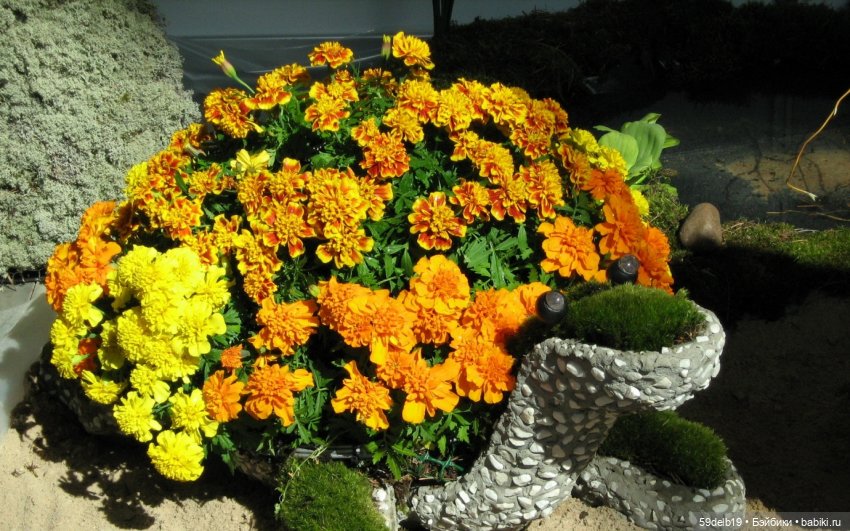 Бархатцы - осенние цветы — Одежда и обувь для кукол своими руками: фото (фото 4)