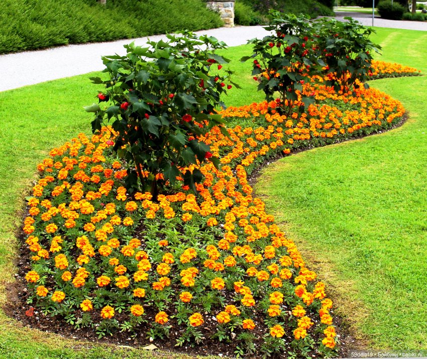 Бархатцы - осенние цветы — Одежда и обувь для кукол своими руками: фото (фото 5)