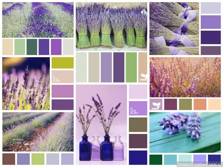 Комплект одежды для паолочек "ЛАВАНДА"