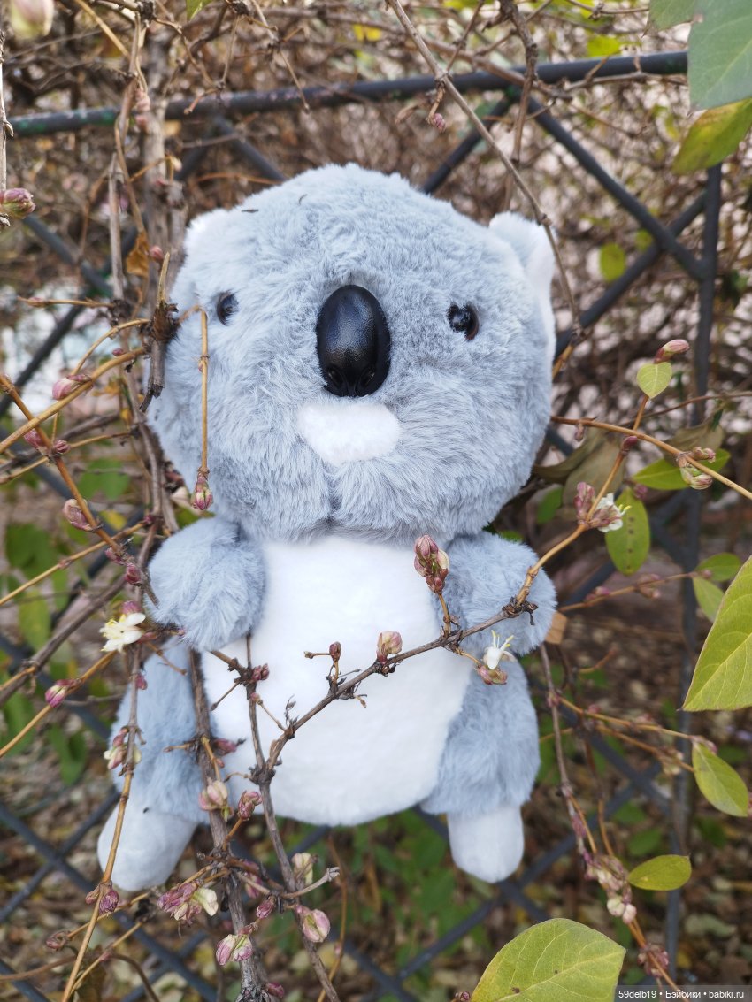 Мягкие игрушки, мишки-коалы