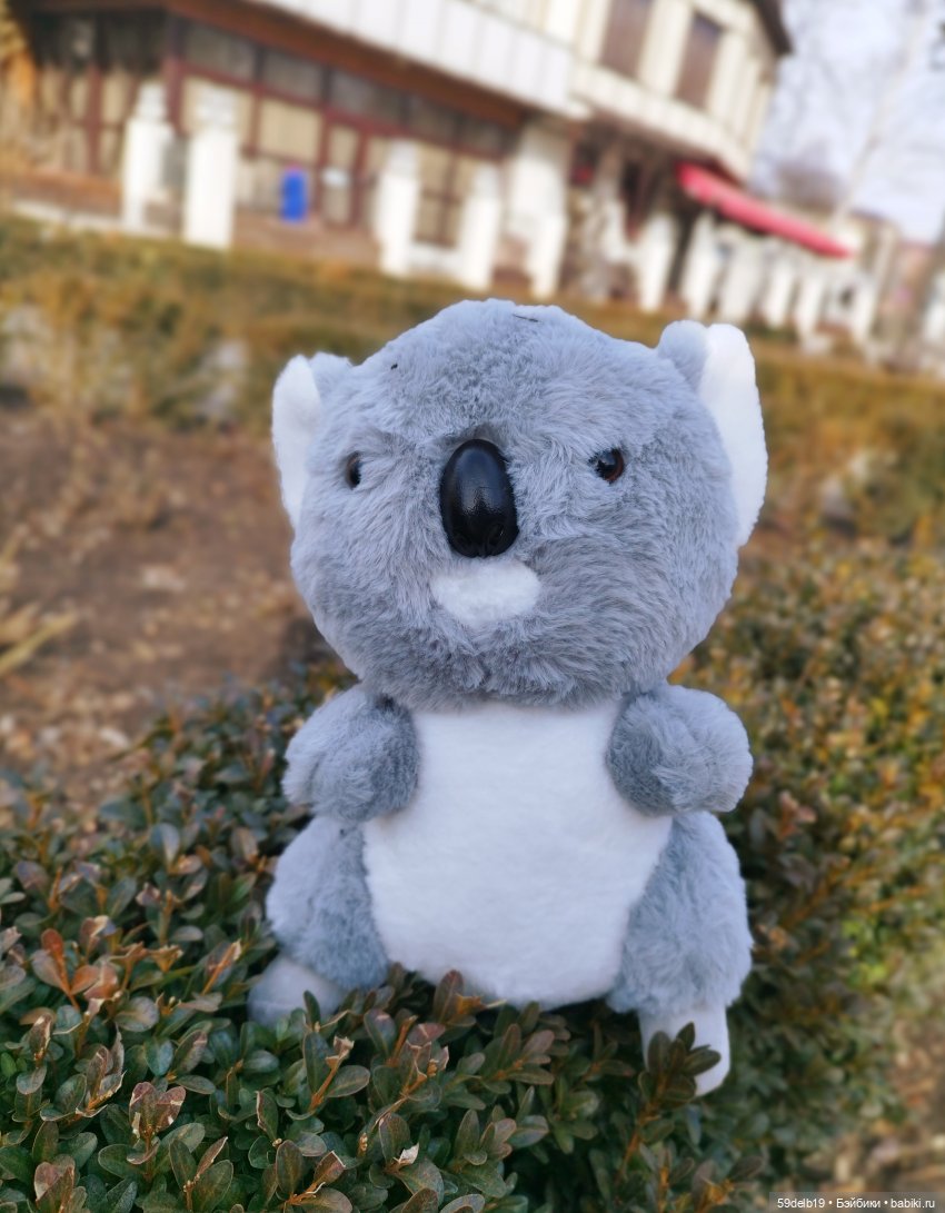 У Веры новая игрушка - милый австралийский медвежонок коала