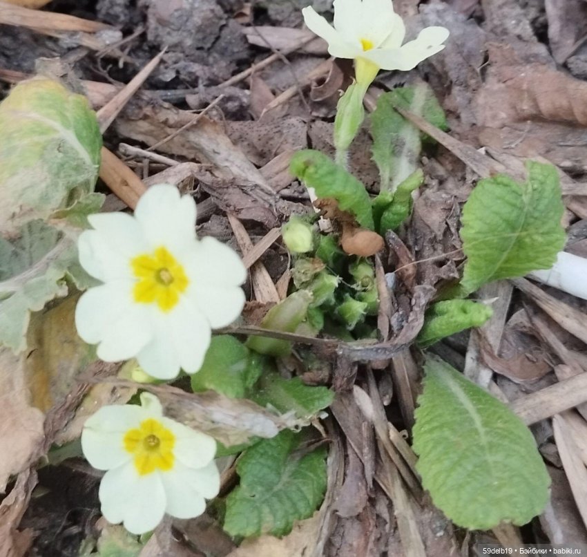 Катины весенние прогулки — Игровые куклы разных производителей (Разное): редкие бренды