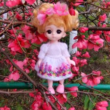 Тея и японская айва