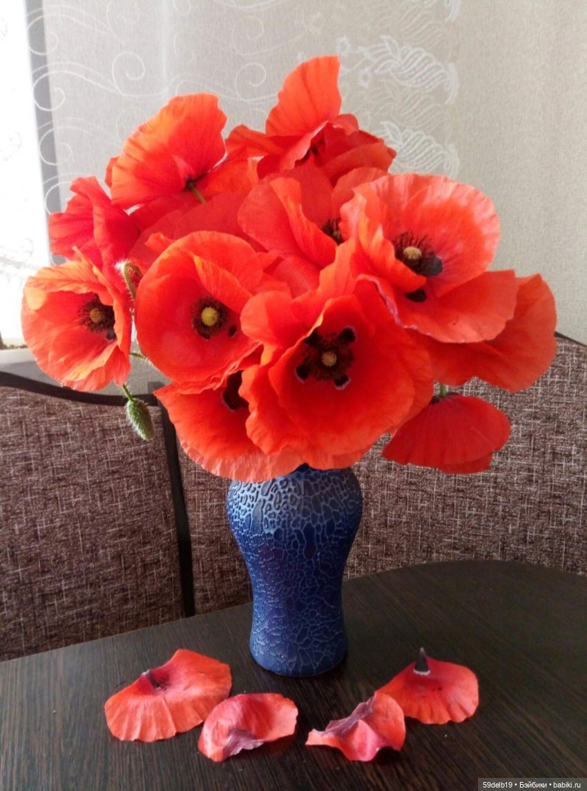 Фотосессия с маками — Одежда и обувь для кукол своими руками: фото (фото 3)