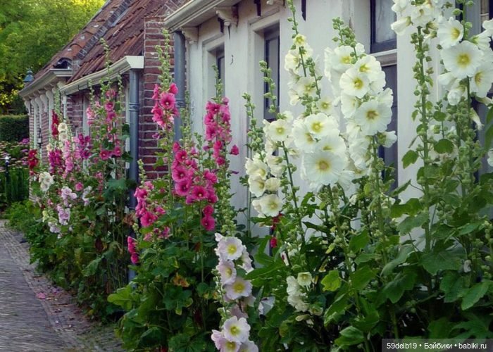 Новый комплектик для баболечки ростом 16 см "Мальвы" (фото 4)