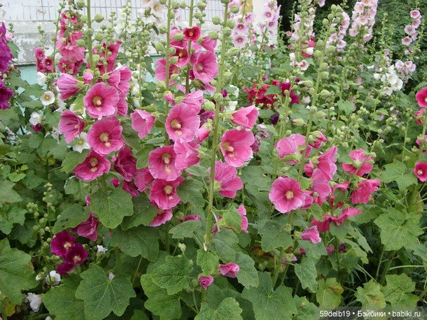 Новый комплектик для баболечки ростом 16 см "Мальвы" | Бэйбики Новый комплектик для баболечки ростом 16 см "Мальвы"