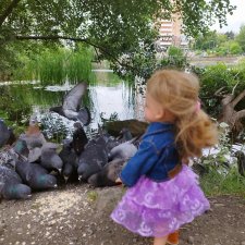 Как Василиска на пруду голубей и уточек кормила