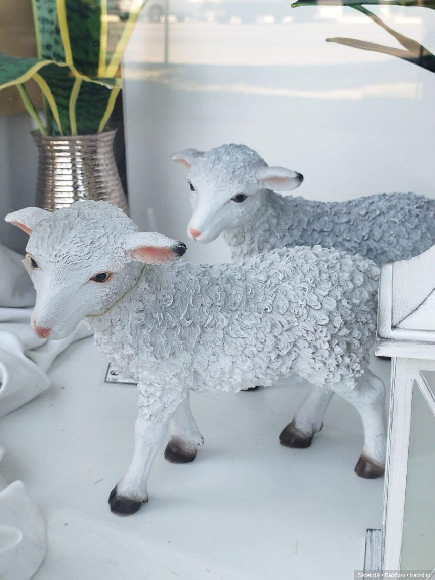 Волшебный мир витрин | Бэйбики Волшебный мир витрин — Интересное и необычное: фотоподборки (фото 4)