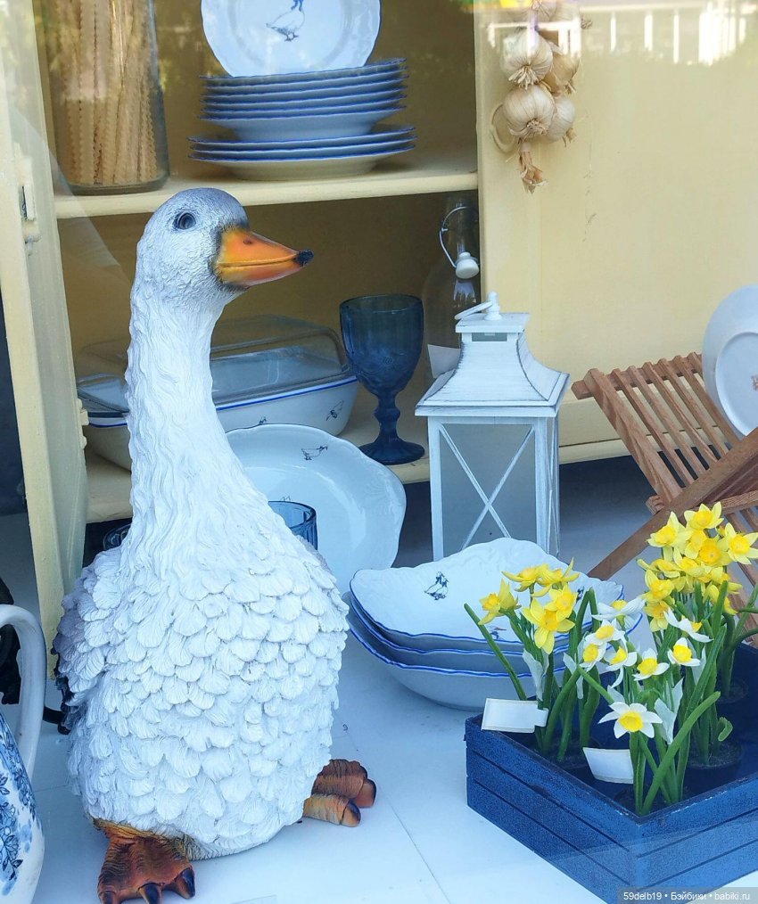 Волшебный мир витрин | Бэйбики Волшебный мир витрин — Интересное и необычное: фотоподборки (фото 5)