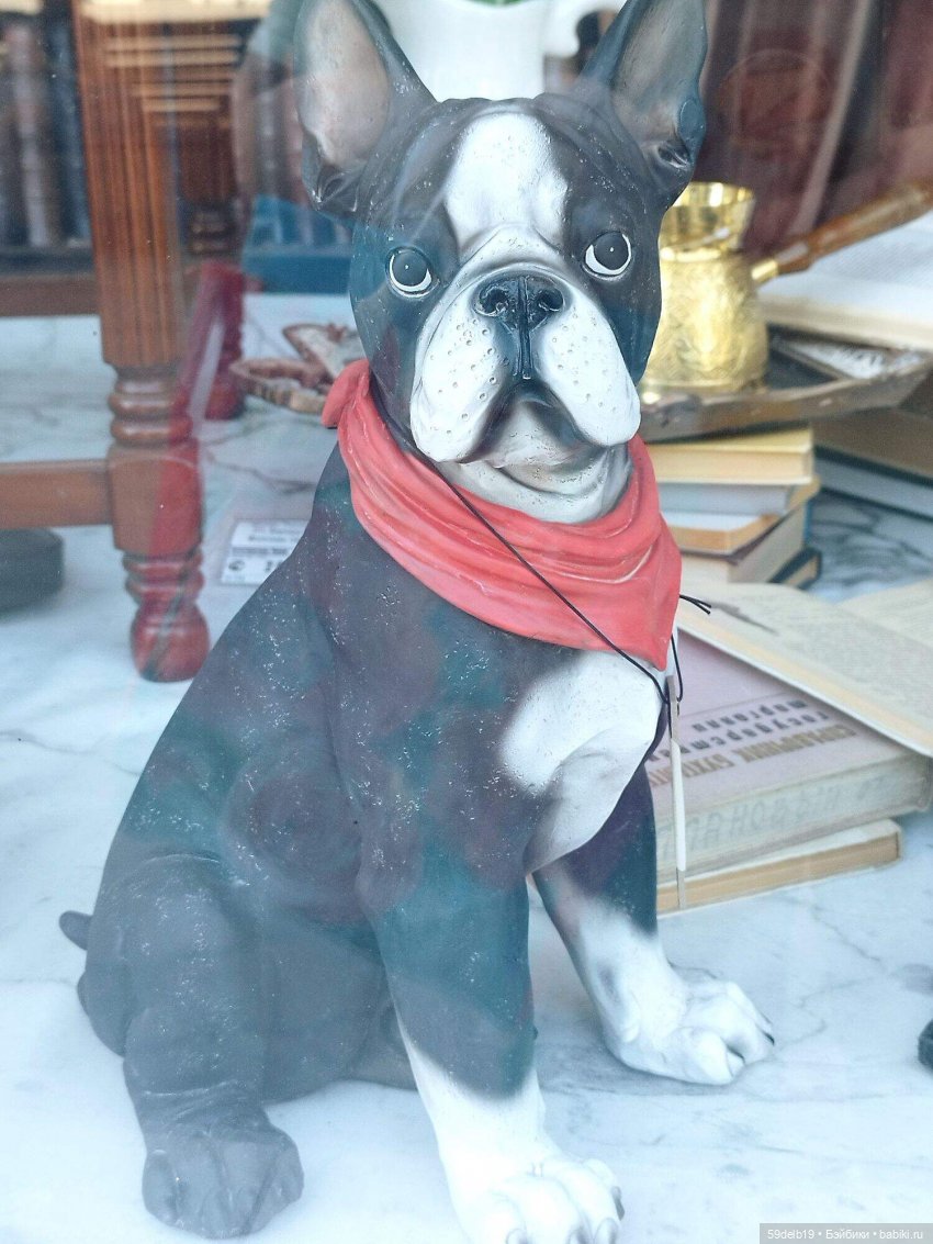 Волшебный мир витрин | Бэйбики Волшебный мир витрин — Интересное и необычное: фотоподборки (фото 9)