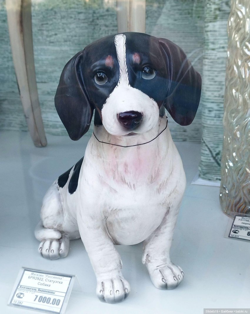 Волшебный мир витрин | Бэйбики Волшебный мир витрин — Интересное и необычное: фотоподборки (фото 10)