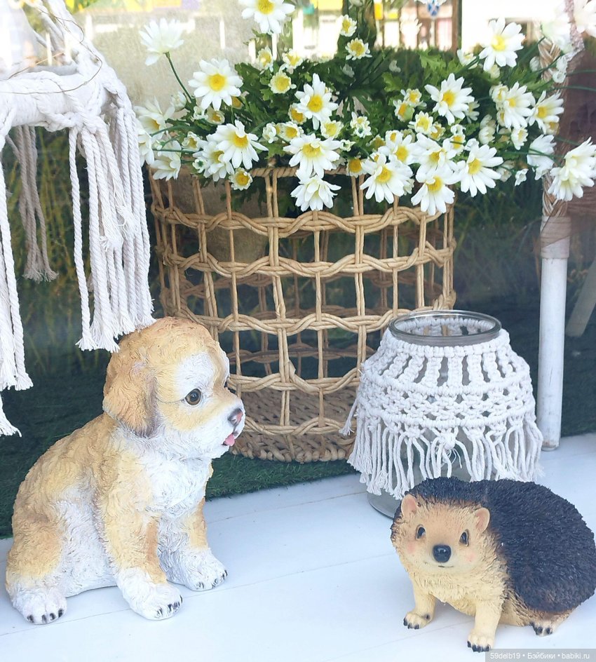 Волшебный мир витрин | Бэйбики Волшебный мир витрин — Интересное и необычное: фотоподборки (фото 8)