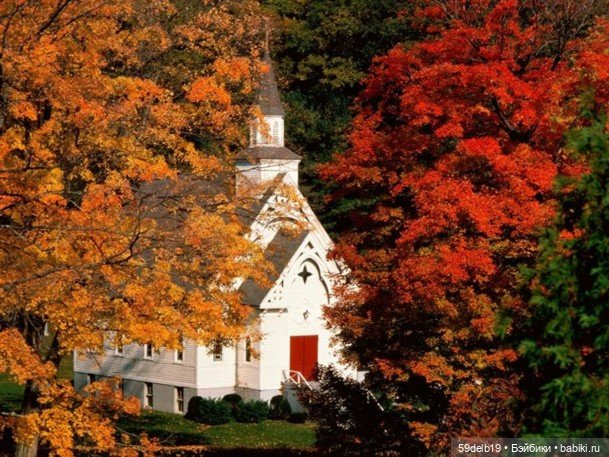 Краски осени - "очей очарование"