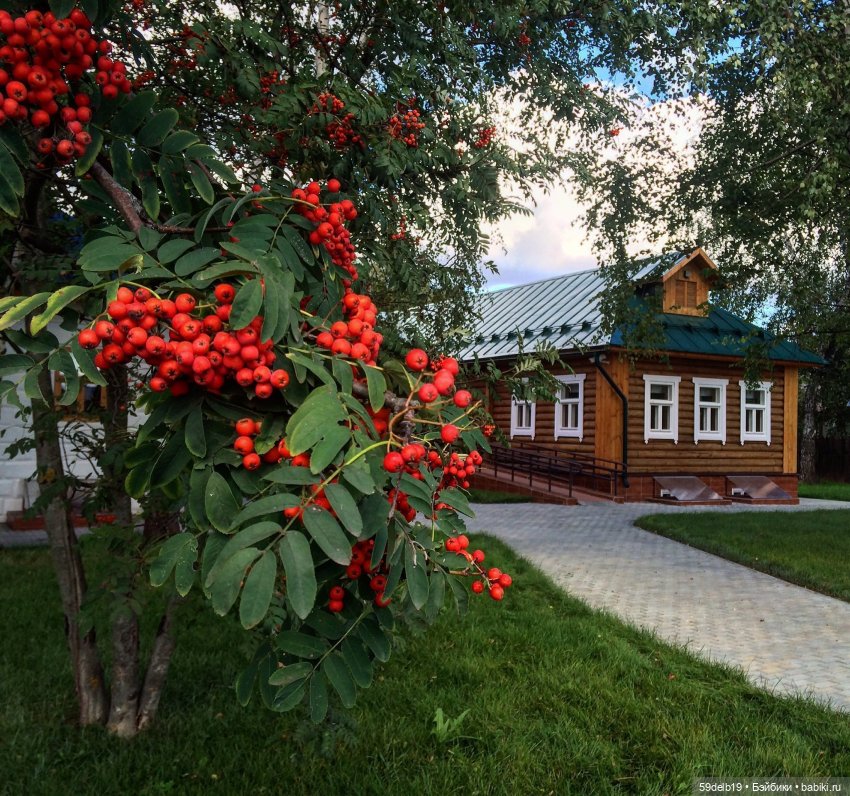 Рябин пылающие кисти — Одежда и обувь для кукол своими руками: фото (фото 2)