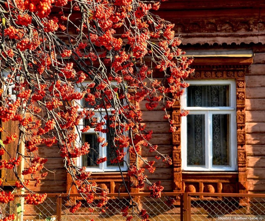 Рябин пылающие кисти — Одежда и обувь для кукол своими руками: фото (фото 6)