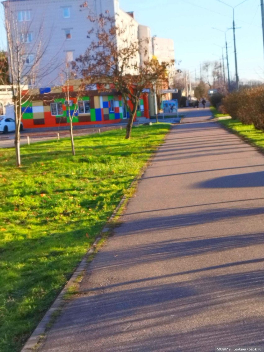 декабрь 2023 г на юге