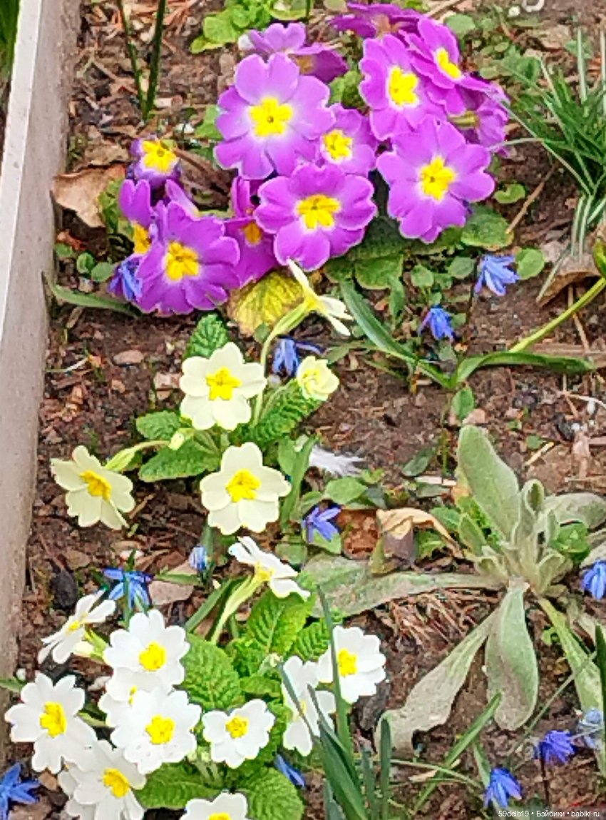 Переменчивый март — Одежда и обувь для кукол своими руками: фото (фото 5)