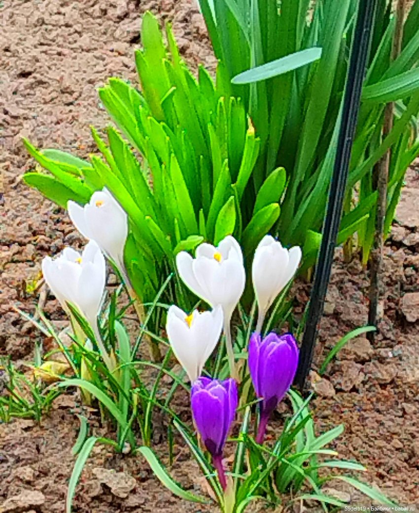 Переменчивый март — Одежда и обувь для кукол своими руками: фото (фото 4)