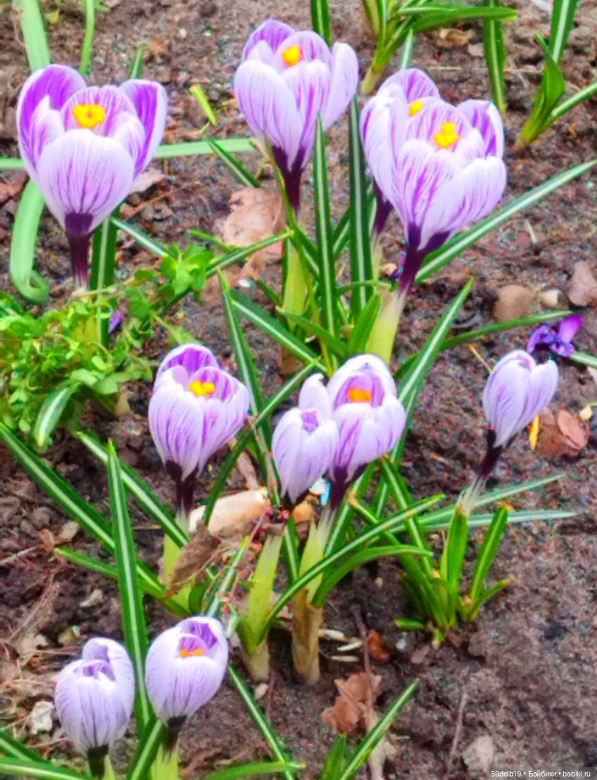 Переменчивый март — Одежда и обувь для кукол своими руками: фото (фото 3)