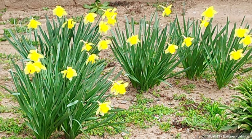 Переменчивый март — Одежда и обувь для кукол своими руками: фото (фото 7)