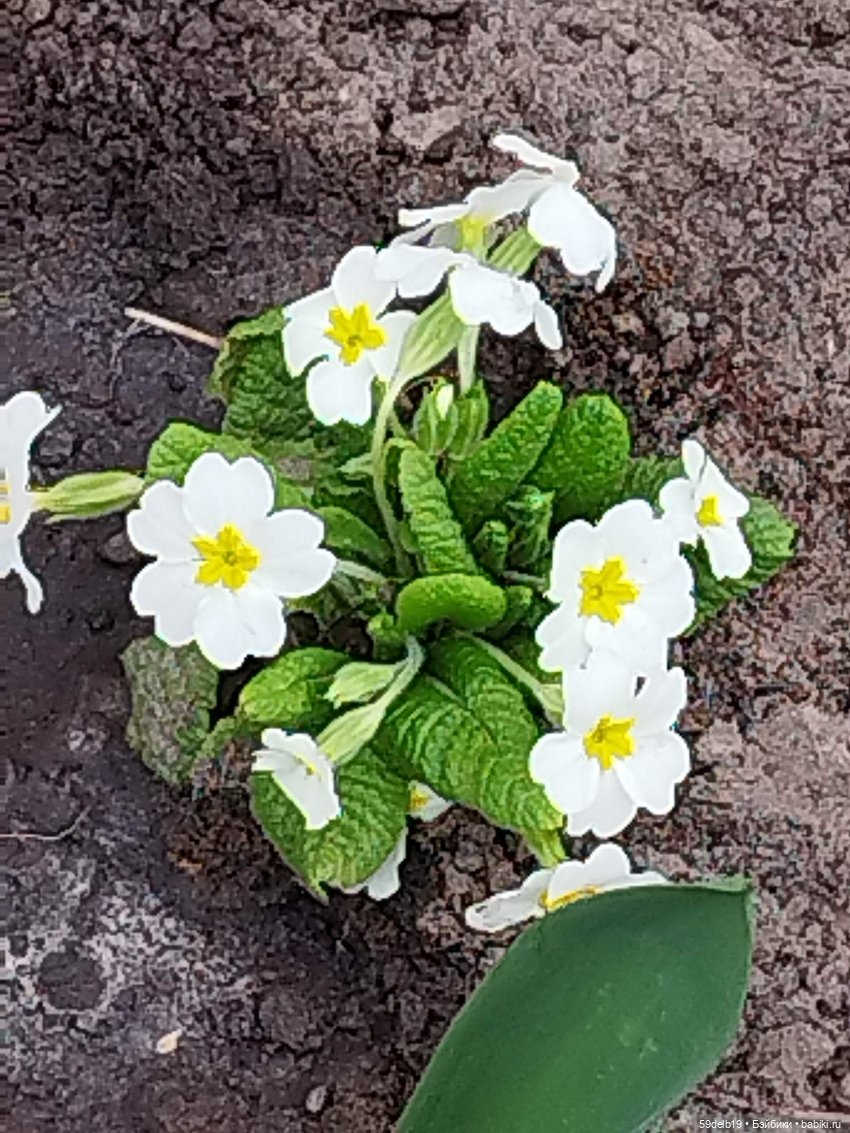 Переменчивый март — Одежда и обувь для кукол своими руками: фото (фото 6)